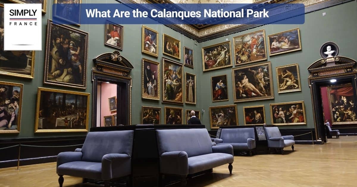 What Are the Calanques National Park