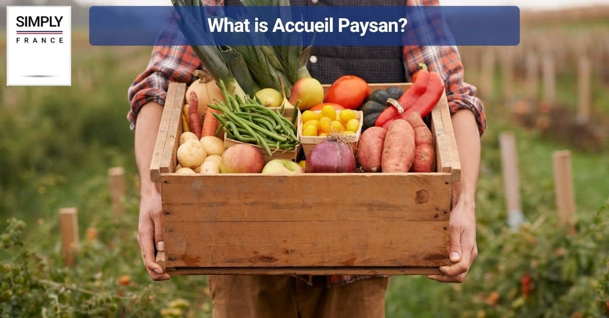 What is Accueil Paysan?