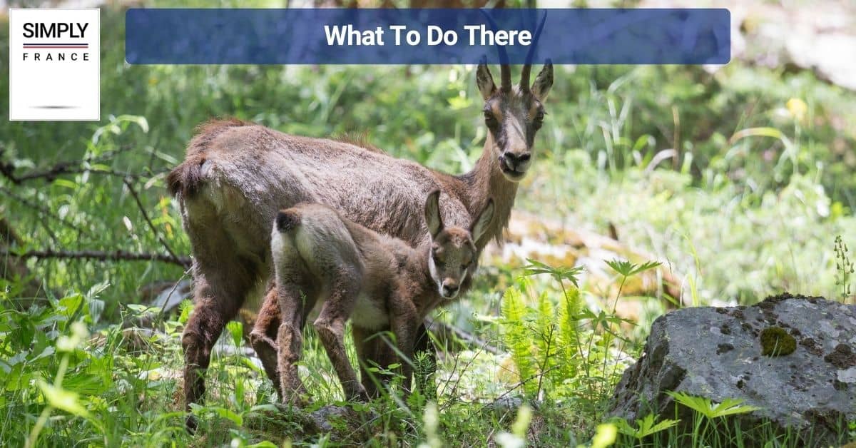 What To Do There