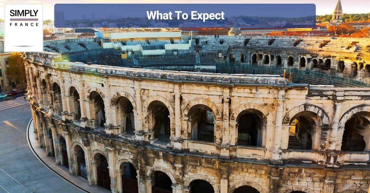 What To Expect