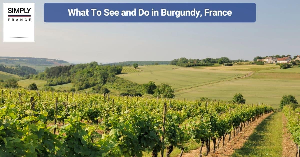 The Best Food and Wine in Burgundy