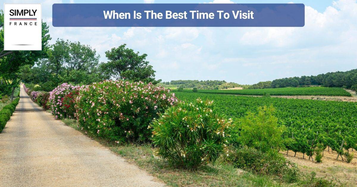 When Is The Best Time To Visit