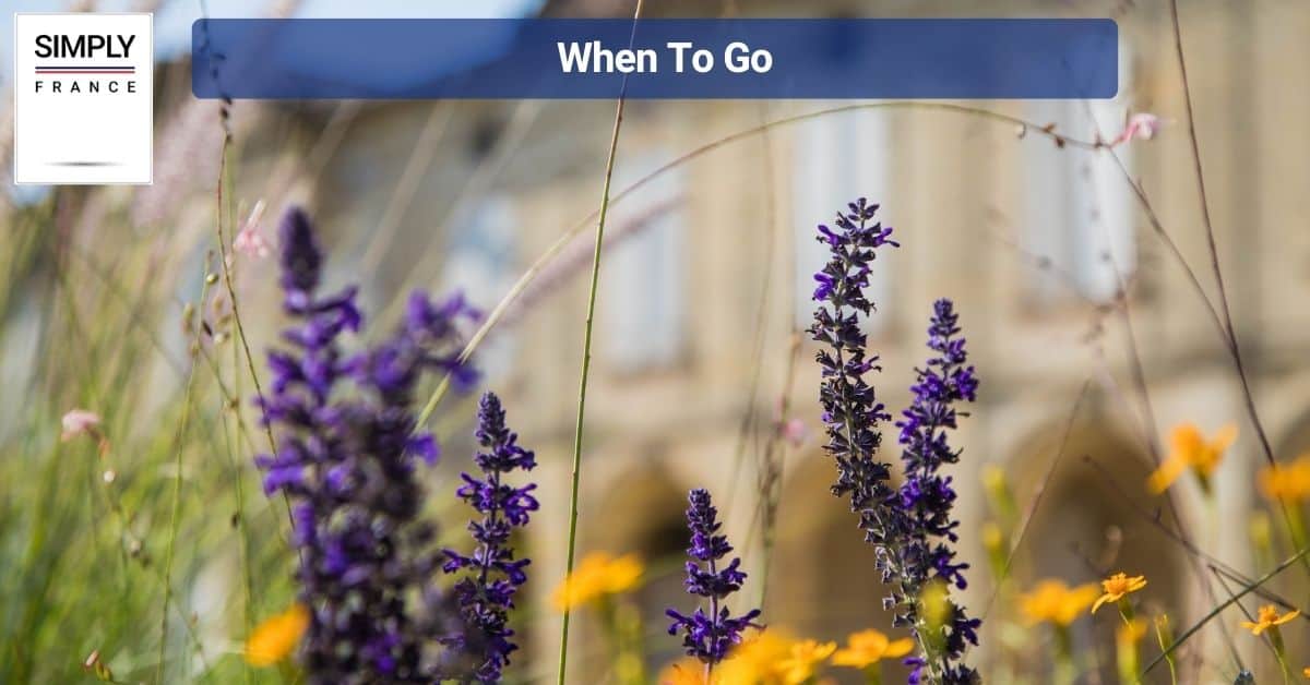 When To Go