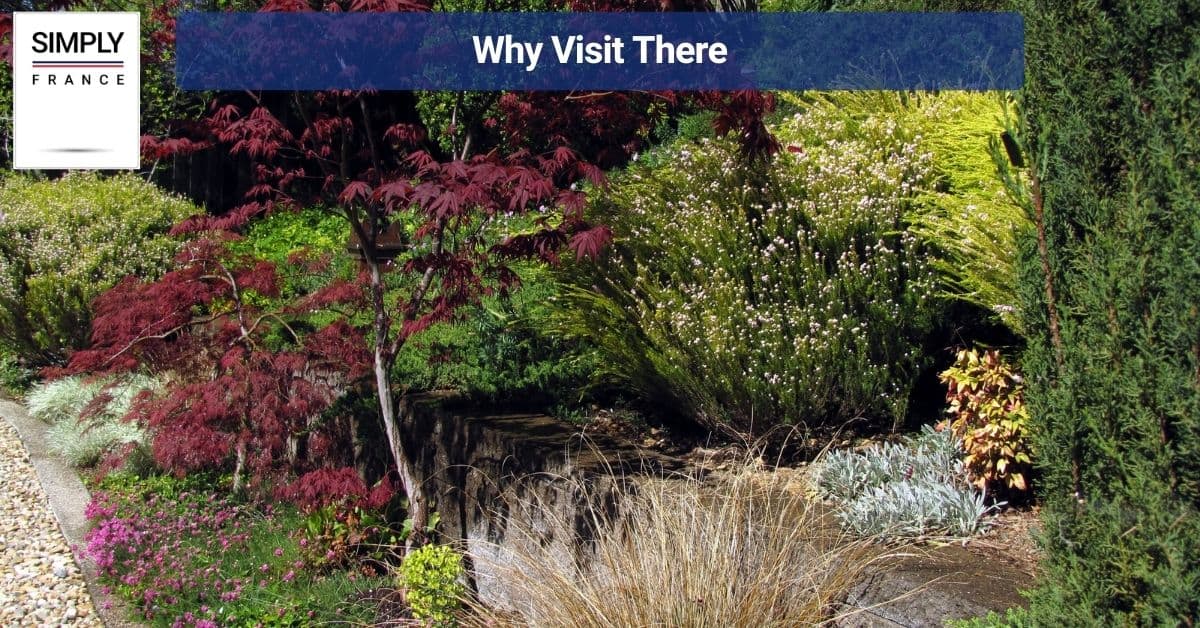 Why Visit There
