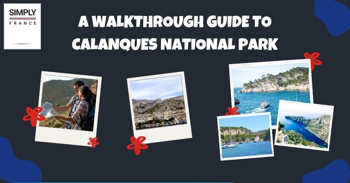 Una guía paso a paso del Parque Nacional Calanques