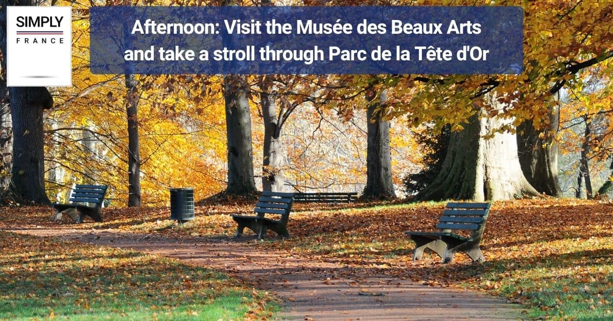 Afternoon_ Visit the Musée des Beaux Arts and take a stroll through Parc de la Tête d'Or