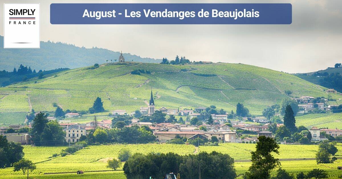 August - Les Vendanges de Beaujolais