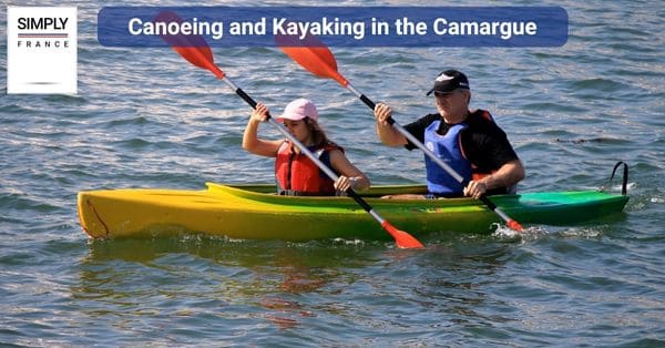Canoeing and Kayaking in the Camargue