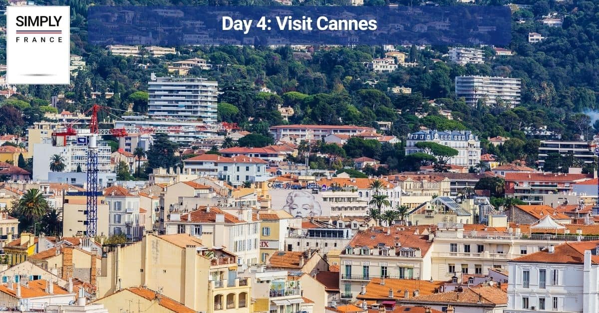 Day 3_ Visit Cannes