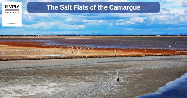 The Salt Flats of the Camargue