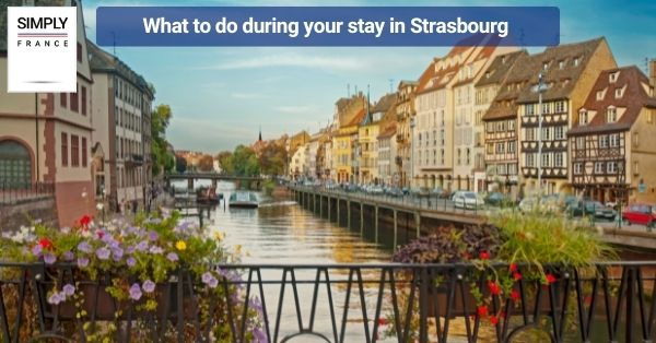 What to do during your stay in Starsbourg
