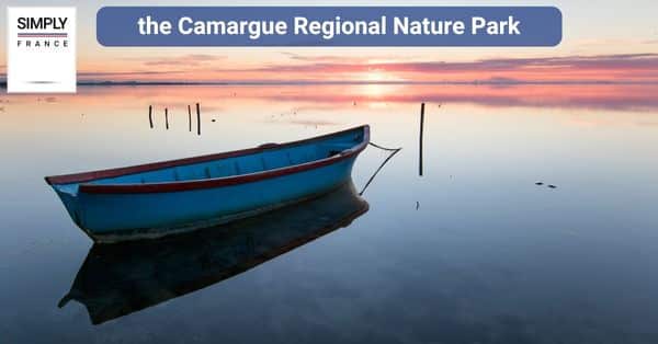 the Camargue Regional Nature Park