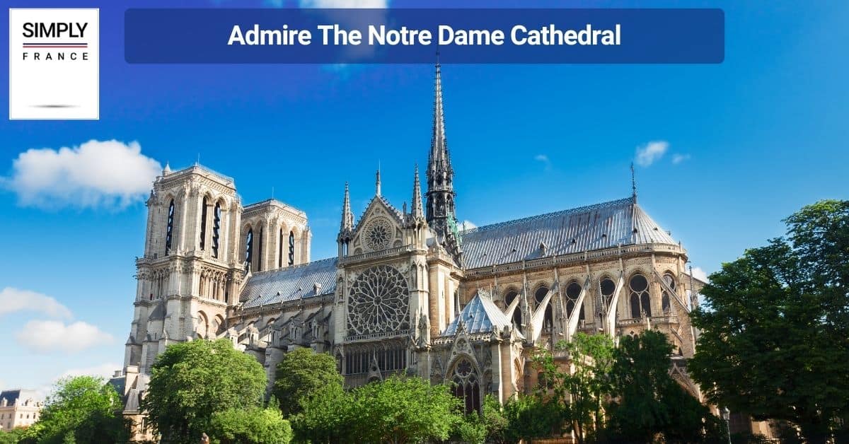 Admire The Notre Dame Cathedral