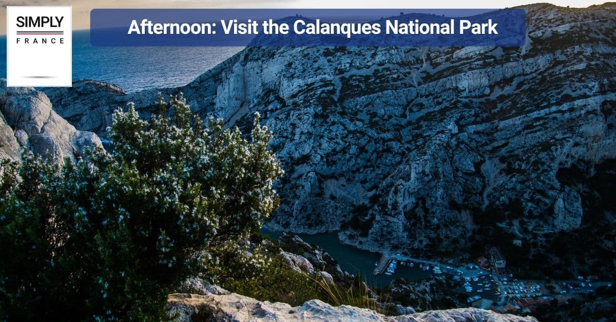 Afternoon_ Visit the Calanques National Park