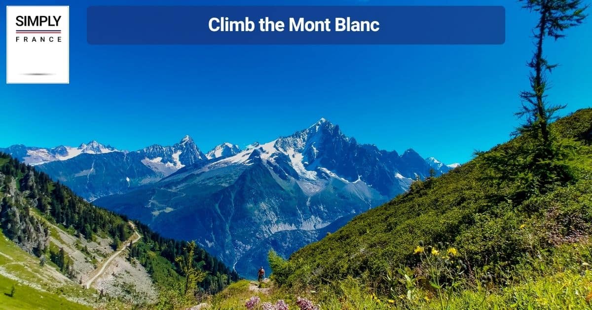 Climb the Mont Blanc