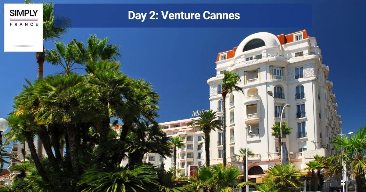 Day 2_ Venture Cannes