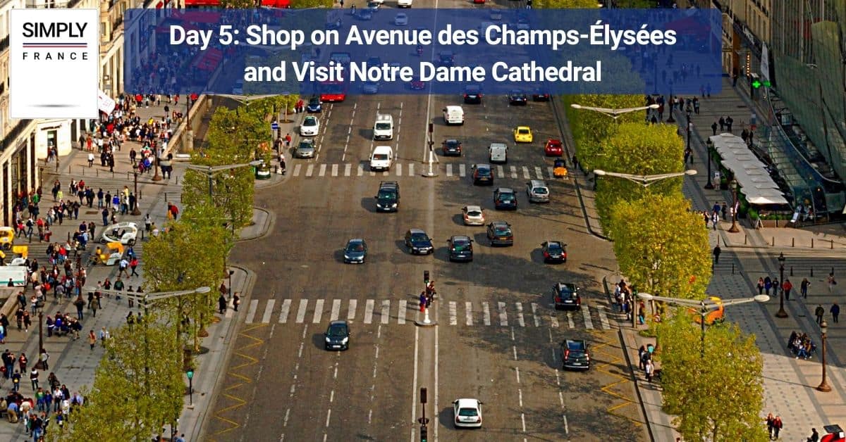 Day 5_ Shop on Avenue des Champs-Élysées and Visit Notre Dame Cathedral