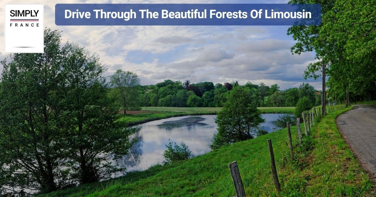Drive Through The Beautiful Forests Of Limousin