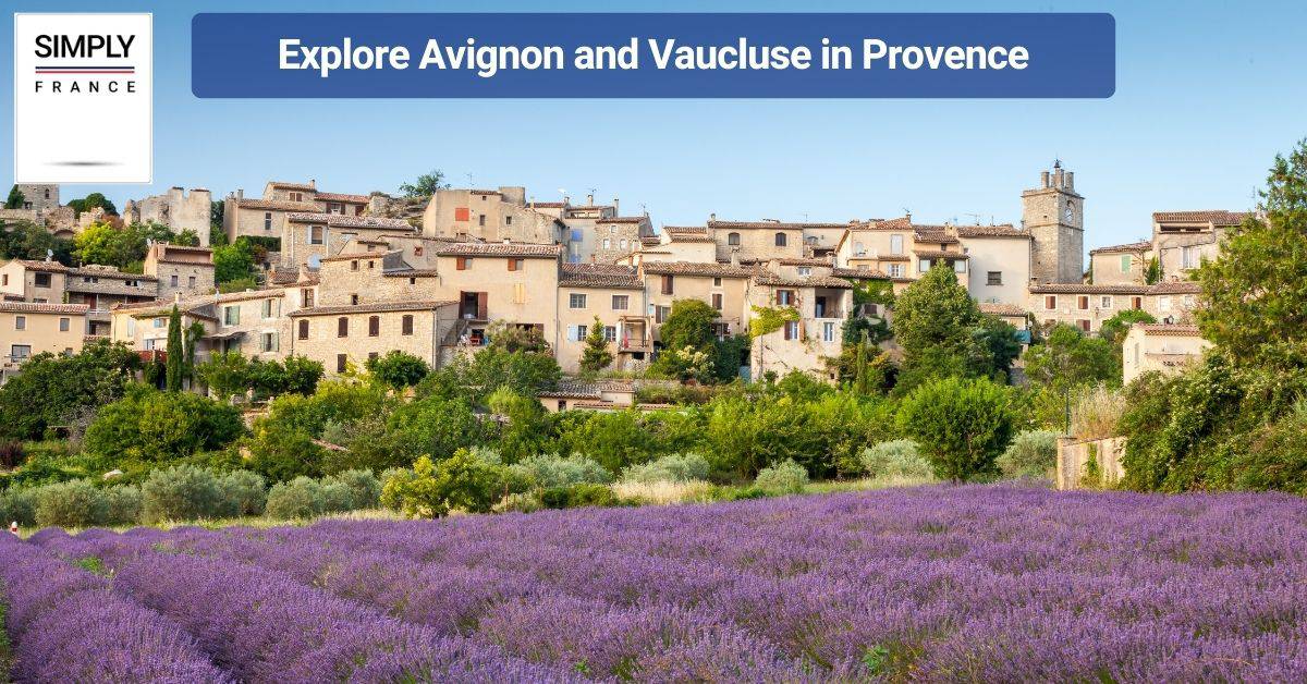 Explore Avignon and Vaucluse in Provence