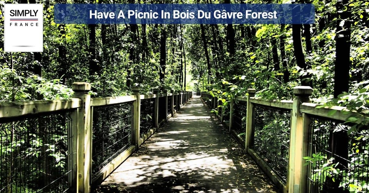 Have A Picnic In Bois Du Gâvre Forest