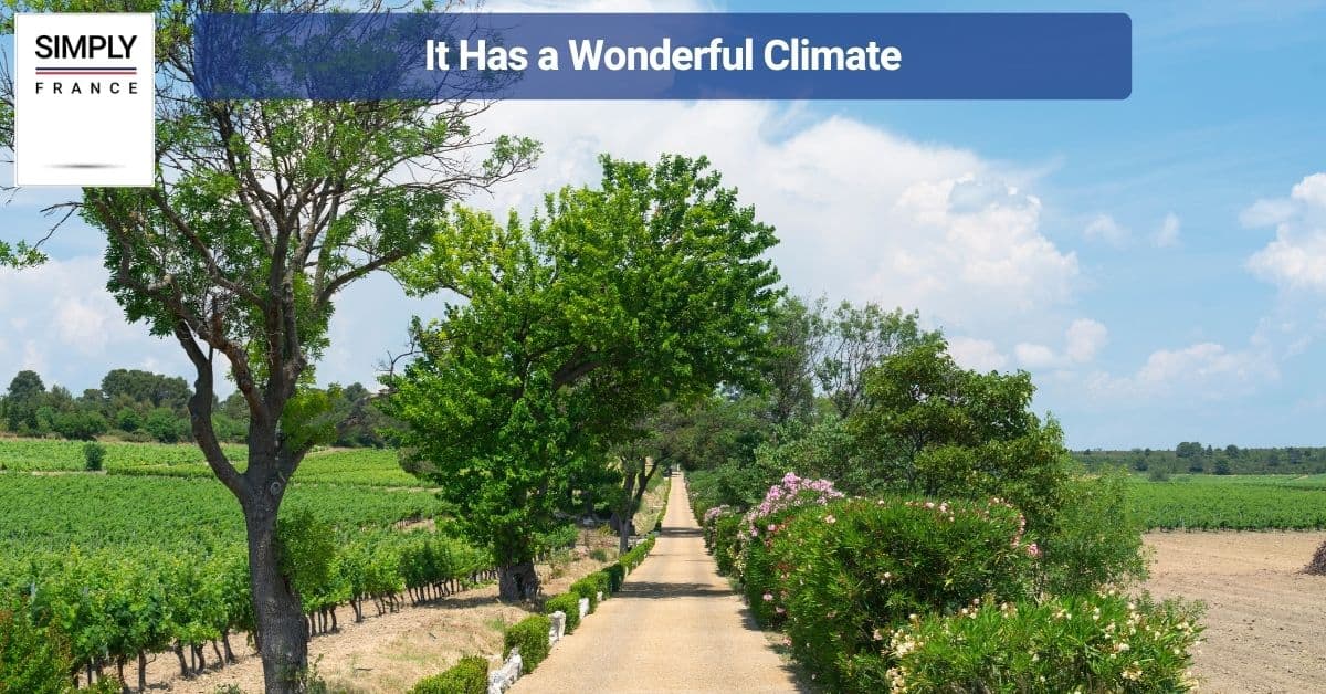 It Has a Wonderful Climate