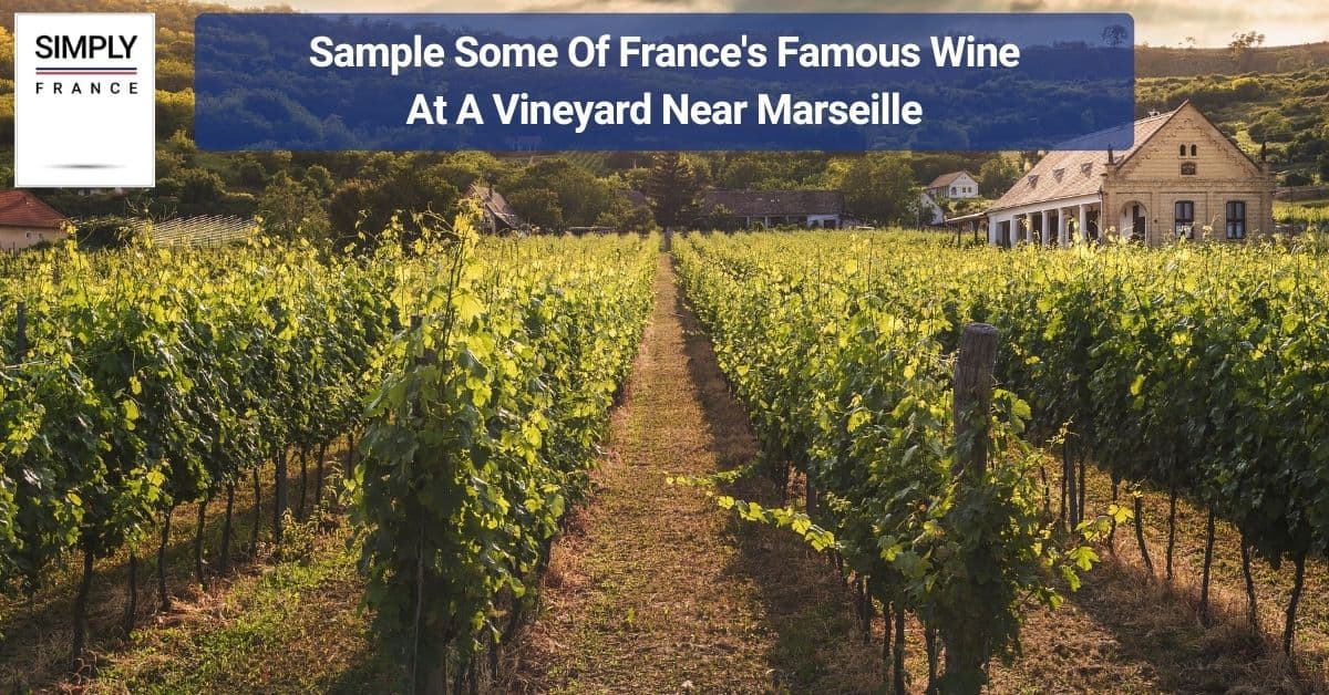 Sample Some Of France's Famous Wine At A Vineyard Near Marseille