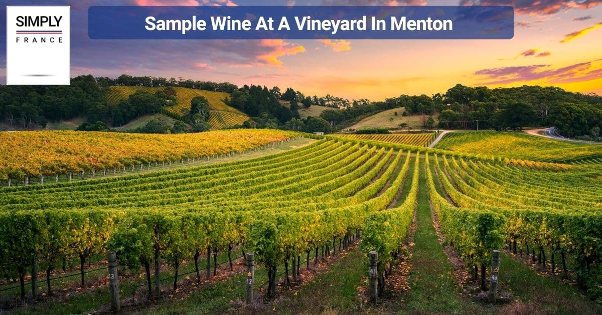 Sample Wine At A Vineyard In Menton