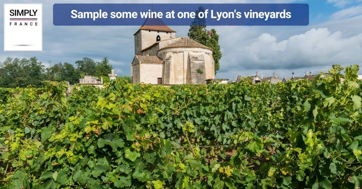 Sample some wine at one of Lyon's vineyards