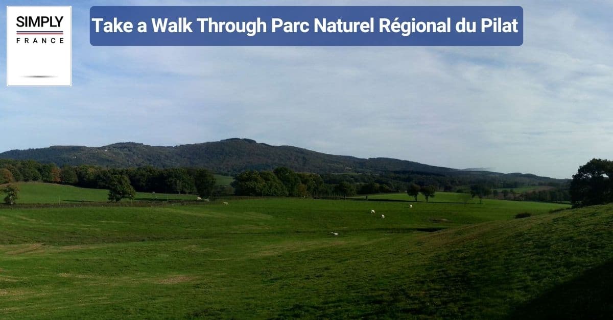 Take a Walk Through Parc Naturel Régional du Pilat
