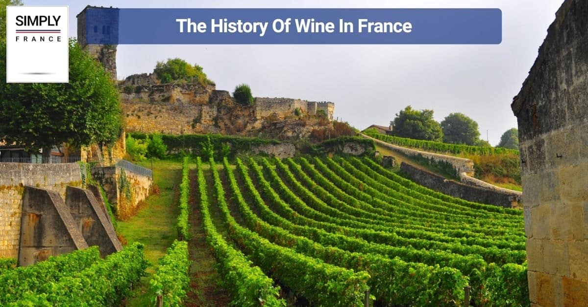 The Ultimate Guide to Wine Tourism in France