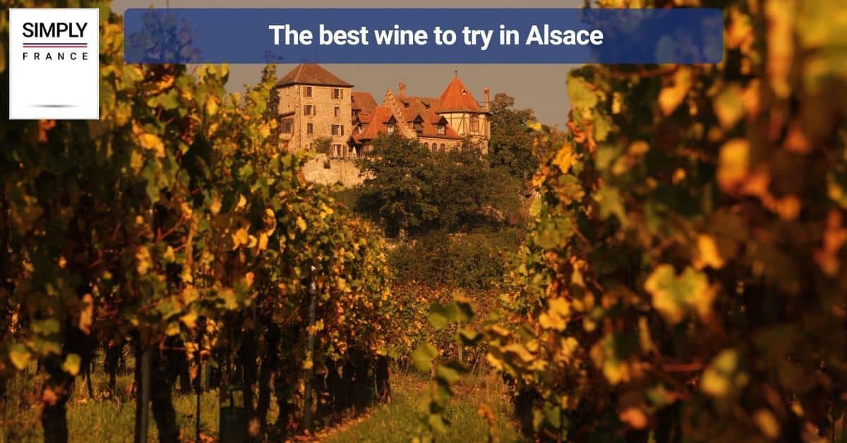 The best wine to try in Alsace