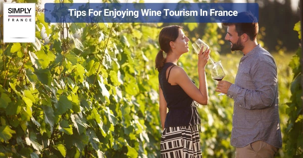 Tips For Enjoying Wine Tourism In France