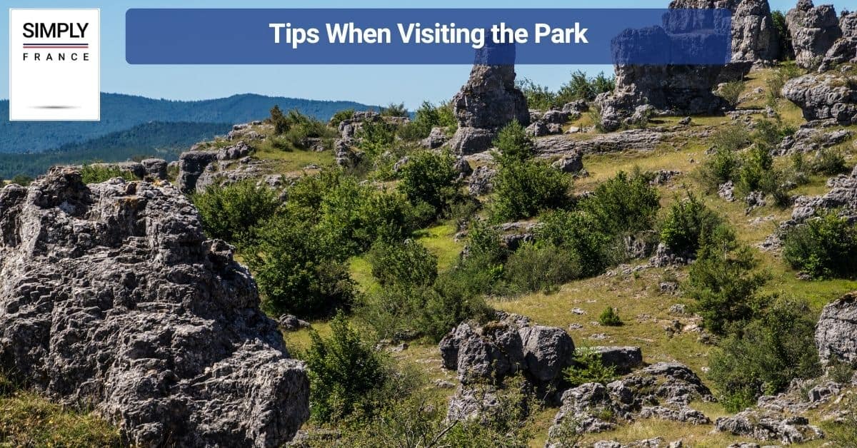 Tips When Visiting the Park