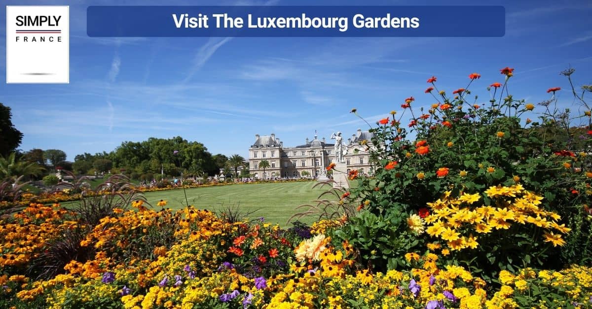 Visit The Luxembourg Gardens