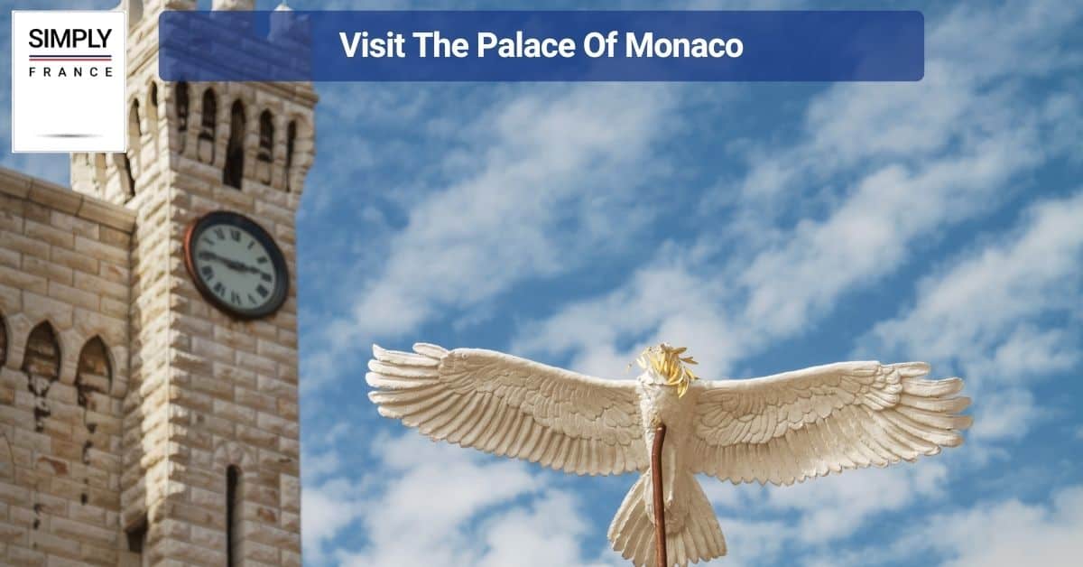 Visit The Palace Of Monaco