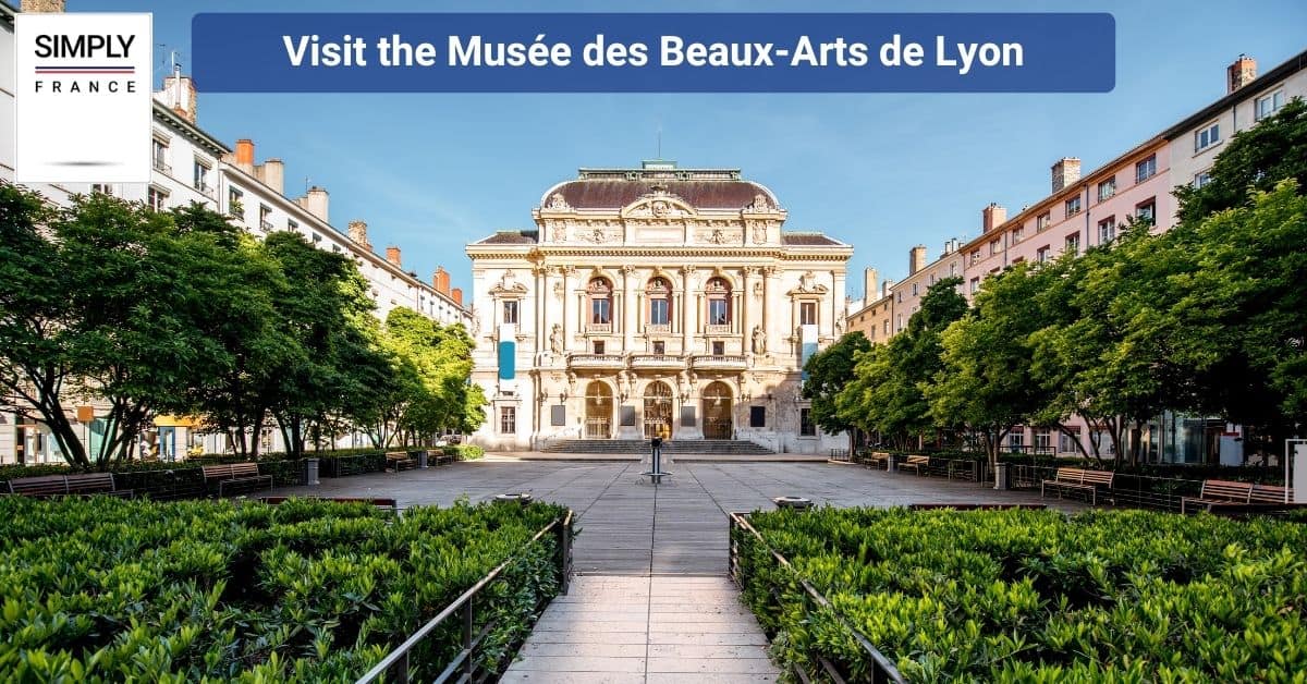 Visit the Musée des Beaux-Arts de Lyon