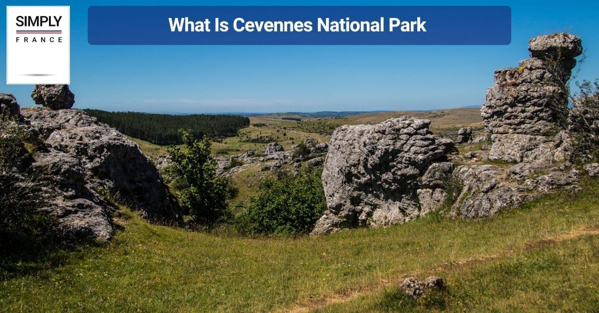 What Is Cevennes National Park