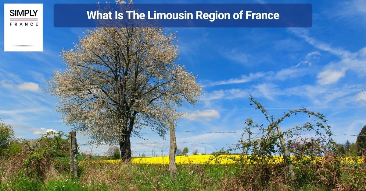 What Is The Limousin Region of France