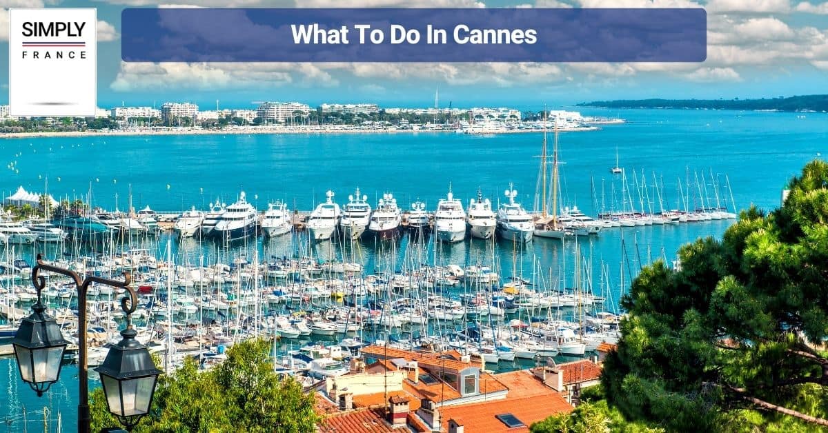 What To Do In Cannes