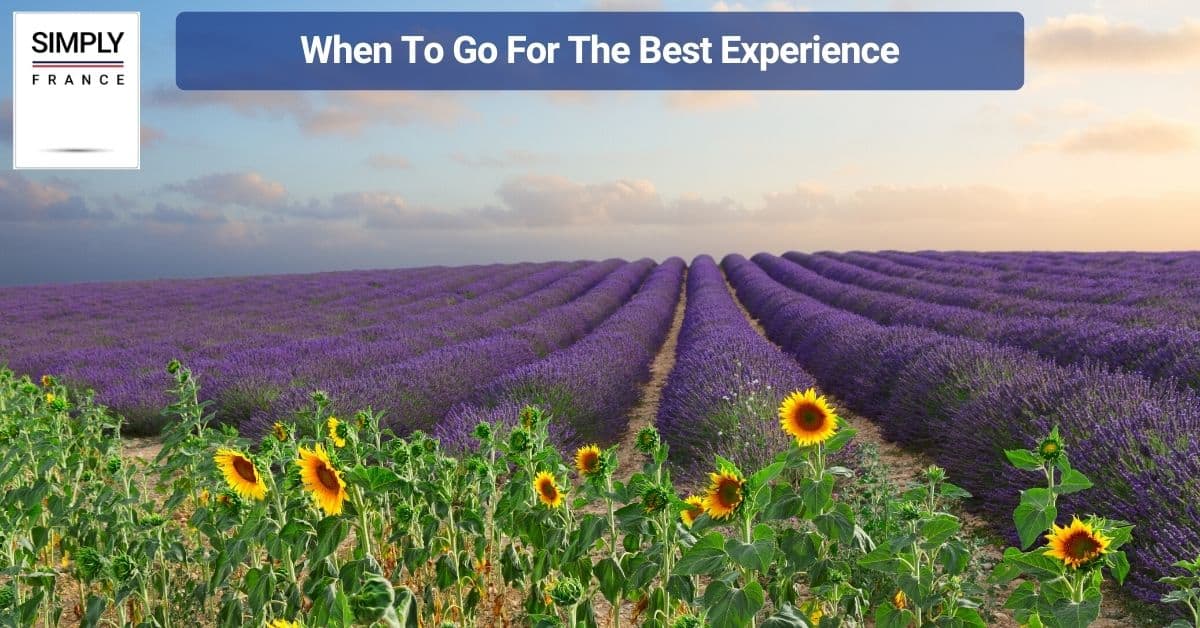 When To Go For The Best Experience