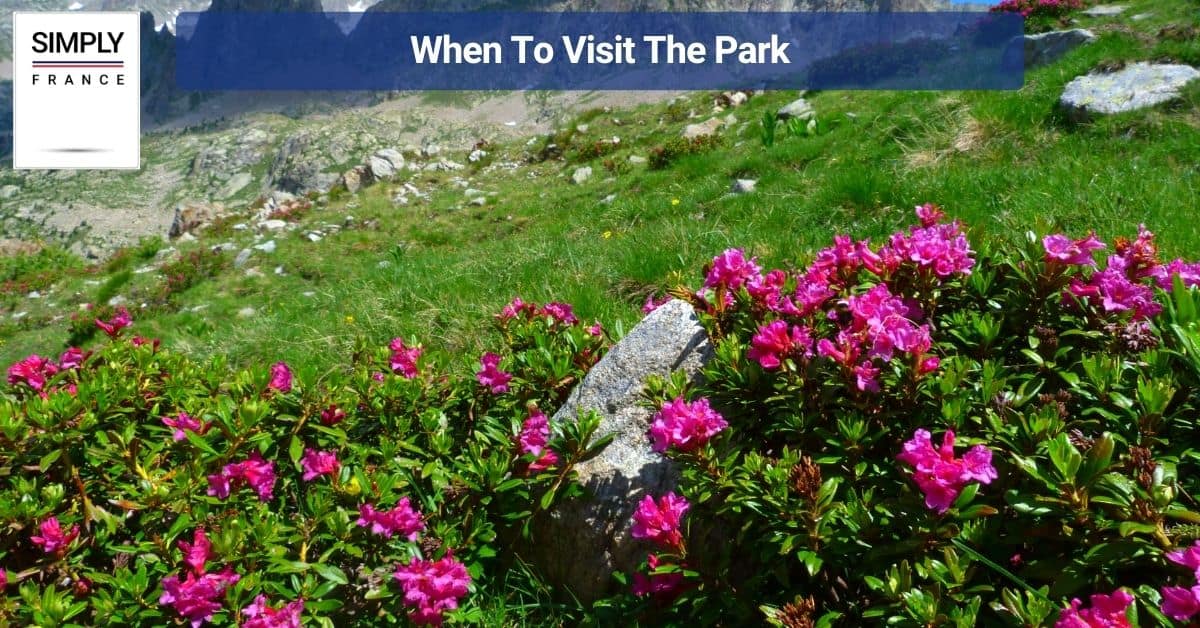 When To Visit The Park