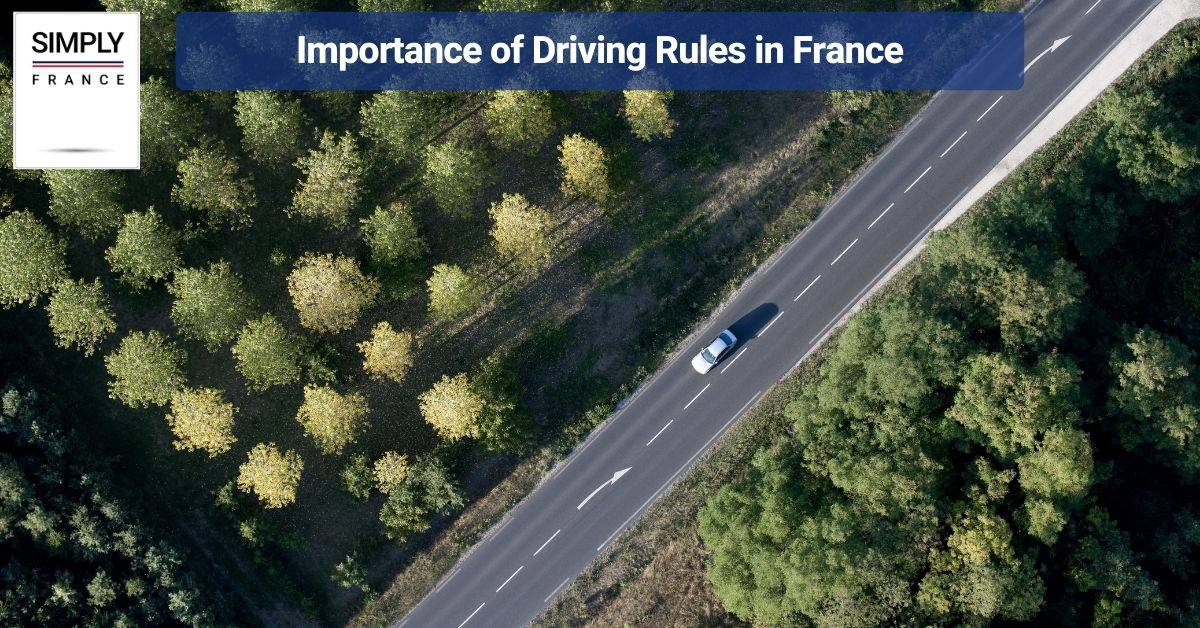 Importance of Driving Rules in France