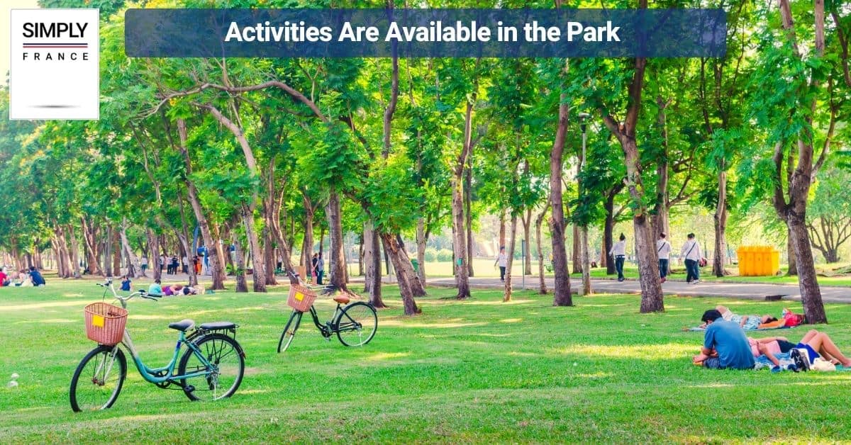 Activities Are Available in the Park
