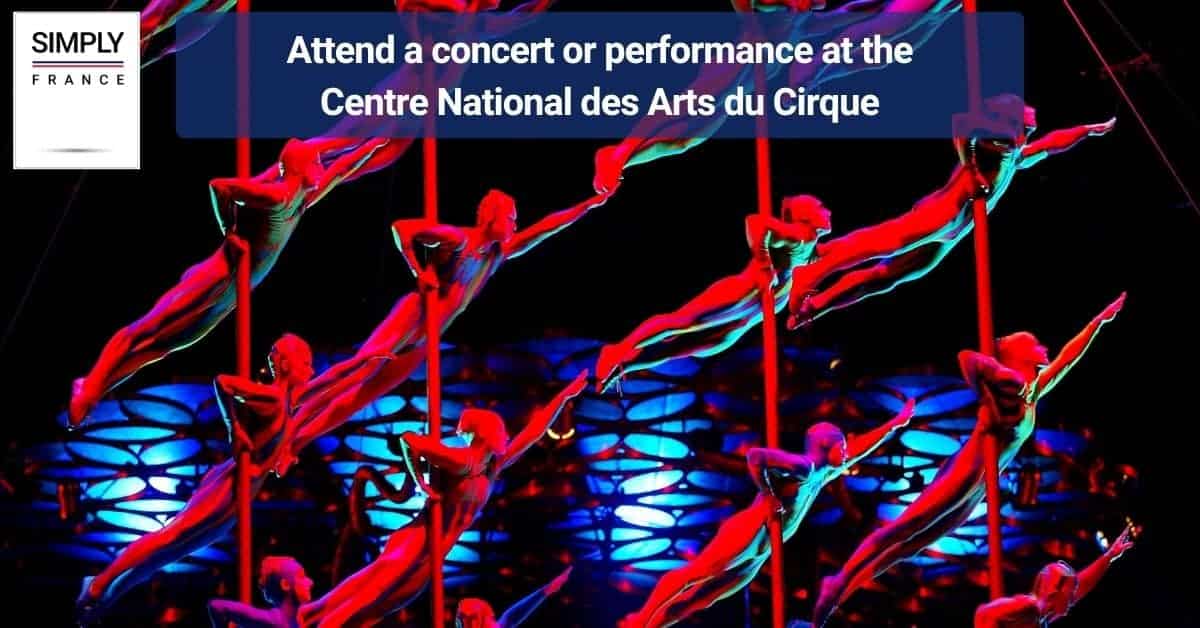 Attend a concert or performance at the Centre National des Arts du Cirque