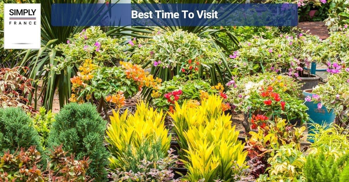 Best Time To Visit
