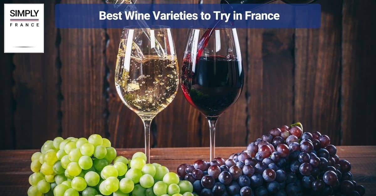 Best Wine Varieties to Try in France