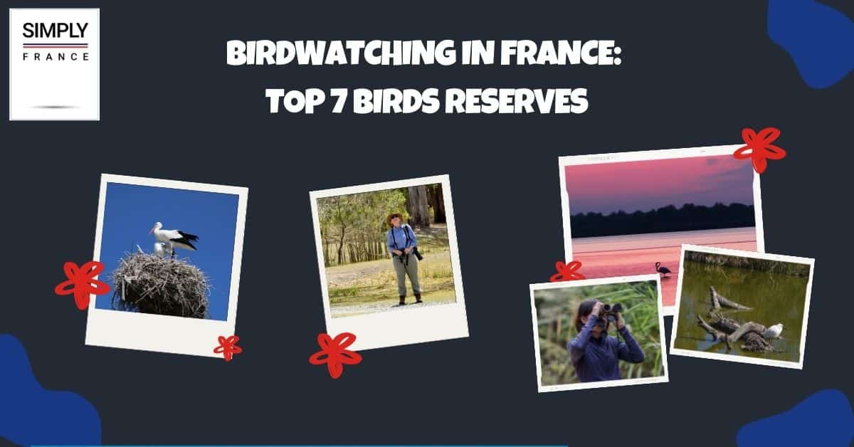 Birdwatching in France_ Top 7 Birds Reserves