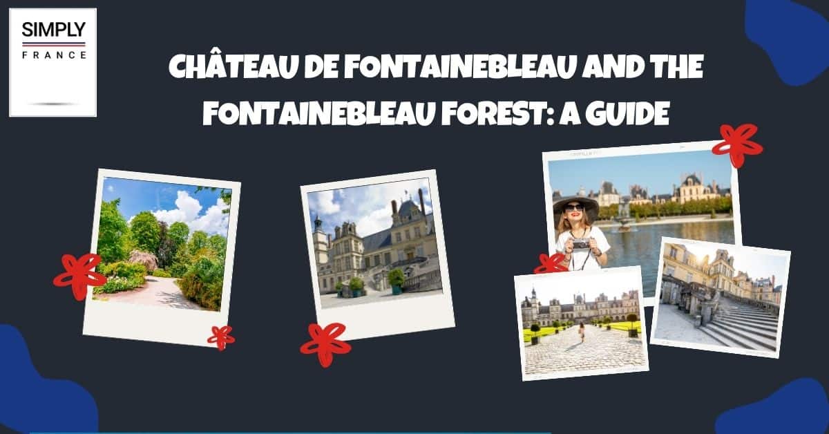 Castillo de Fontainebleau y el bosque de Fontainebleau_ Una guía