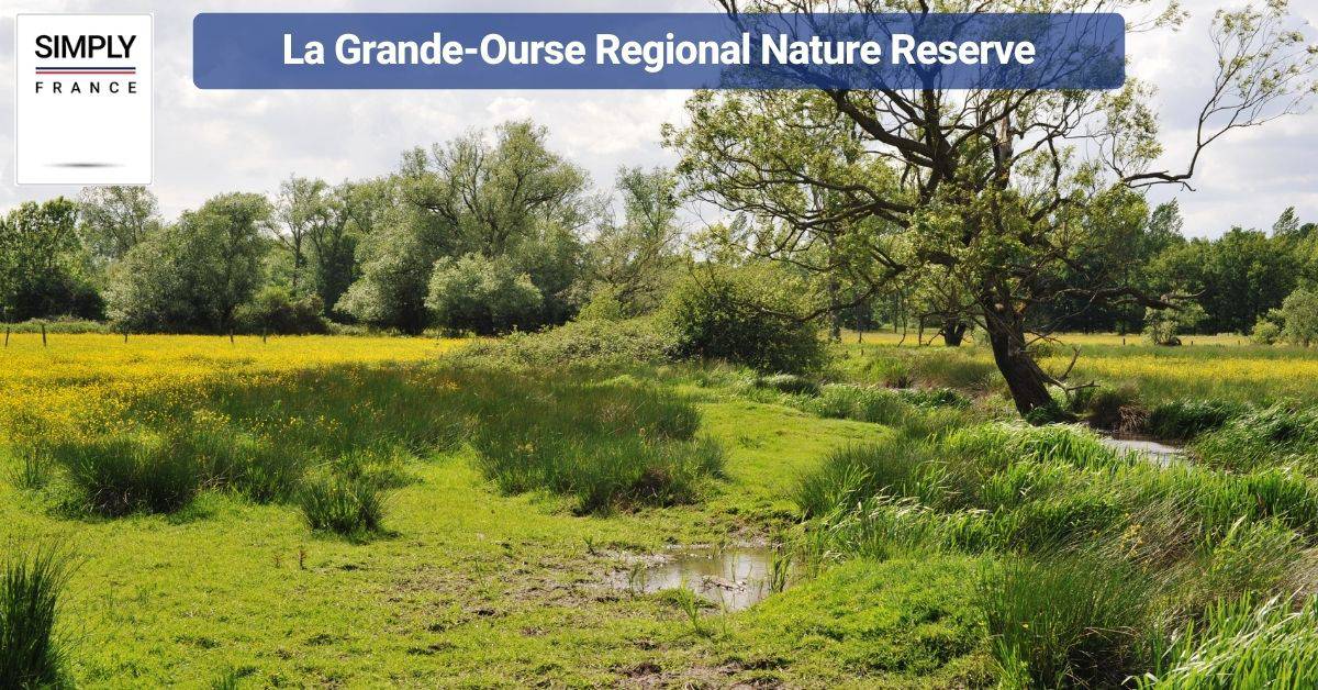 La Grande-Ourse Regional Nature Reserve