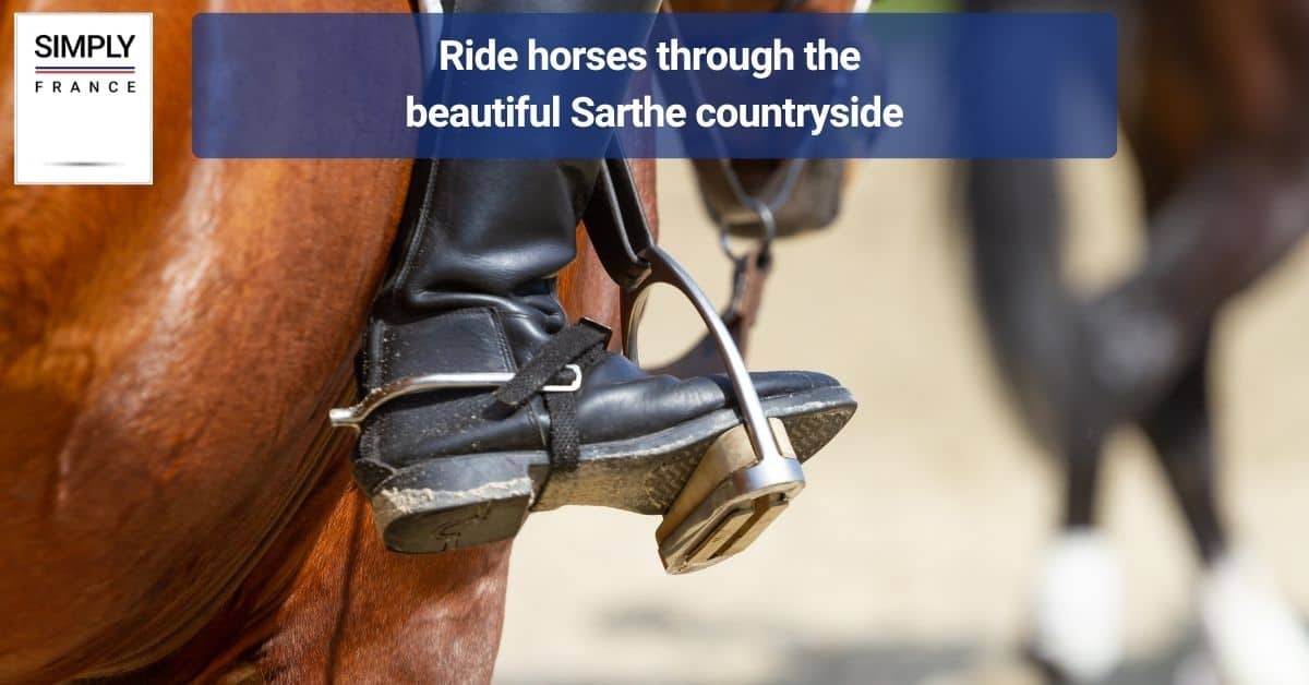 Ride horses through the beautiful Sarthe countryside